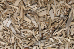 biomass boilers Treleigh