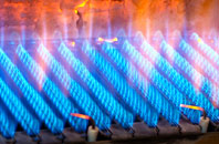 Treleigh gas fired boilers